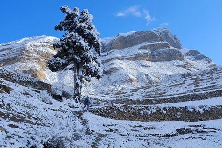 15 Days Round Annapurna Trek with Poon Hill from Pokhara