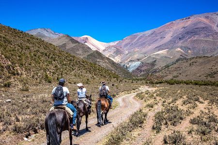 The Real Gaucho Day Trip from Mendoza - Don Daniel Ranch