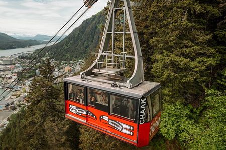 Alaska Native Tour and Tram Combo
