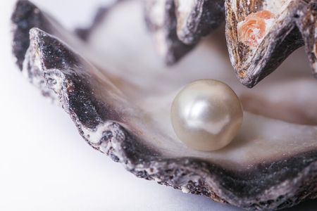 La Paz: Pearl Farm Experience and shop