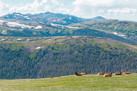 Rocky Mountain National Park Driving Tour