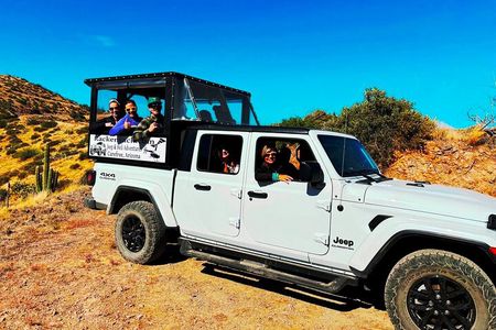 Sonoran Desert To MountainTop Jeep Tour minutes from Scottsdale