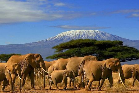 2-Day Kruger National Park Safari Adventure from Johannesburg