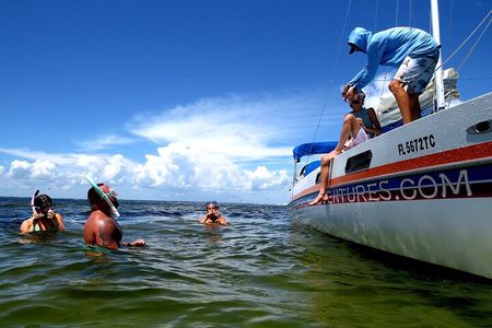 Private Catamaran: Snorkel, Swim and Dolphin Watching
