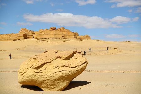 Wadi Al-Hitan Private Valley of the Whales Day Tour From Cairo