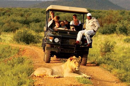 Small Group 4 Day Garden Route Adventure from Cape Town