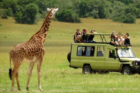 Tala Game Reserve and Phezulu Safari Park from Durban
