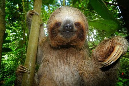 La Fortuna Guided Day Nature Experience 2hrs
