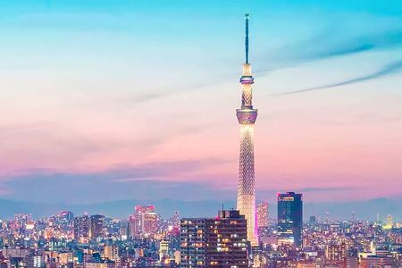 Tokyo Day tour with English speaking Guide
