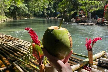 Bamboo Rafting and Limestone Massage in Montego Bay