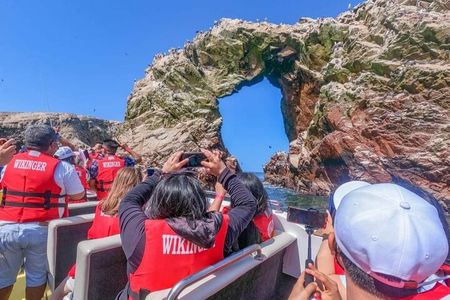 Ballestas Islands & El Candelabro Boat Tour