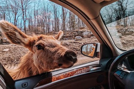 Ottawa Parc Omega Private Tour with Hotel Transfer