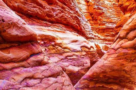 Grand Safari including Snorkeling at the Blue Hole and a Camel Ride along the Gulf of Aqaba