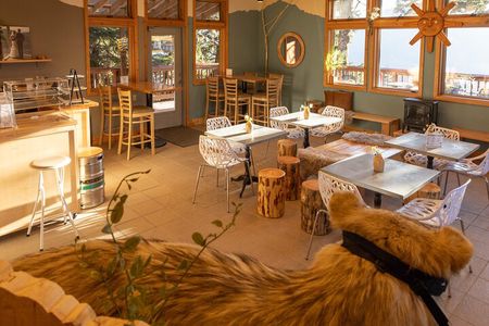 Trails and Ale Tour and Tram Combo