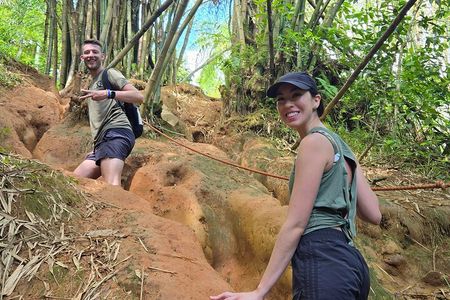 El Yunque Rainforest and Luquillo Kiosk Day Trip