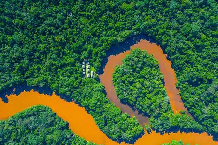 4 Days Cuyabeno Amazon Experience at Waita Lodge