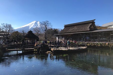 Mount Fuji Full Day Sightseeing Tour from Tokyo