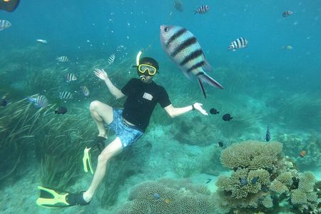 Bali Tropical Snorkeling and Mangrove Cruise