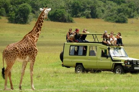 Full Day -Tala Game Reserve, Natal Lion Park, Phezulu From Durban