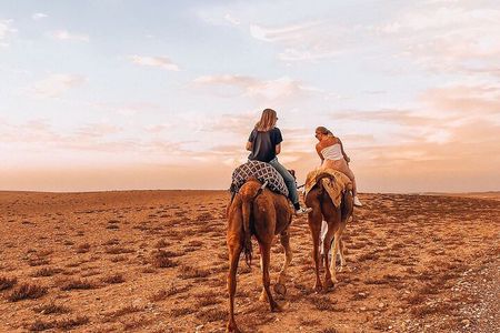 Sunset camel ride and dinner in Agafay desert. 