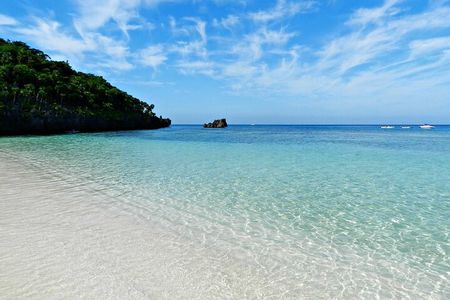 Roatan Private Excursion Monkey & Sloth, City Tour & Beach Break 