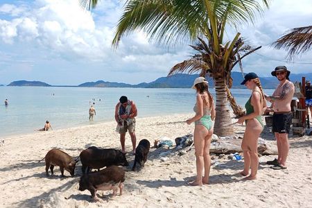 Koh Samui Island Hopping Adventure in Coral and Pig Island