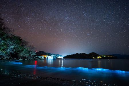 Bioluminescence Tour, Speedboat, Camping From Puntarenas