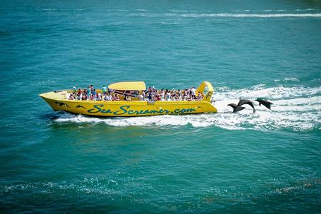 Sea Screamer Clearwater's Only Speed Boat Dolphin Watching