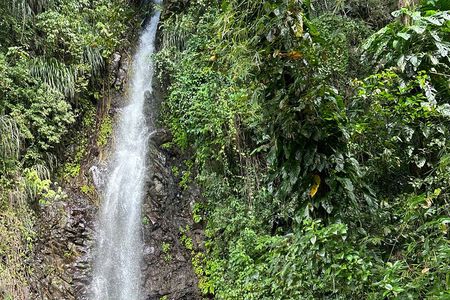 Fun and Exhilarating Experience at Dark View Falls