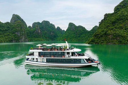 Halong Pamela Cruise 5 Star Luxury Day Tour Depart from Harbor