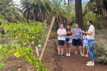 Taste Gran Canaria's unique wines
