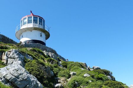 Cape Point and Boulder's Penguins Full Day Tour