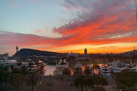 Barcelona: Rooftop Tapas & Sangria class with a Local Chef