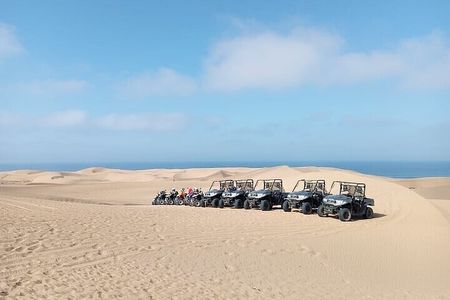 Fun buggies in Agadir Forest and Beach Dunes
