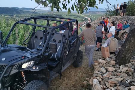 Half Day Tokaj Wine Tasting Tour in Mád Hungary with lunch