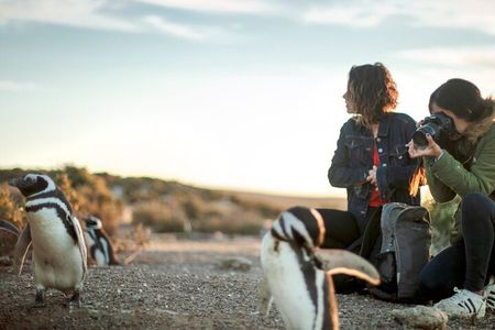 Estancia San Lorenzo: Home of the Largest Penguin Colony