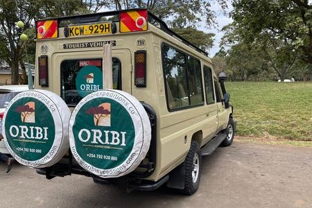 Nairobi National Park Half Day Tour