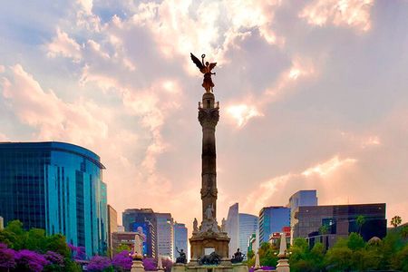 Bike Tour through Chapultepec, Reforma and the Zócalo / Mexico
