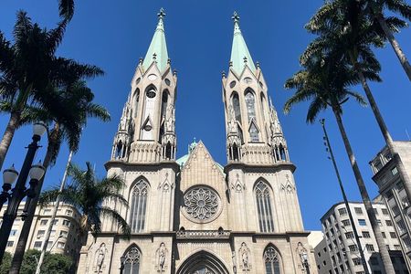 São Paulo's Best Attractions: 5-Hour Private Tour (Hotel Pickup)