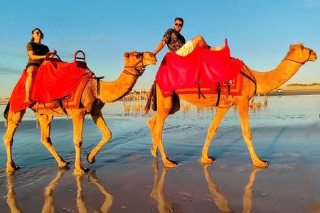 Tangier; caves of Hercules & cap spartel including camel ride