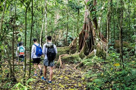Corcovado National Park - San Pedrillo Station with lunch
