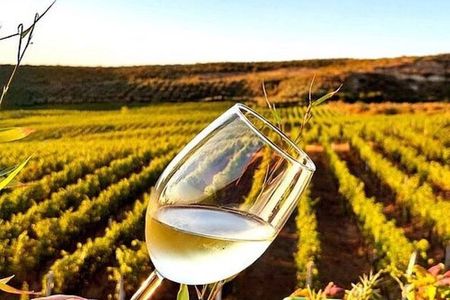 Experience Blue Eye , Lekuresi Castle and Taste Traditional Albanian Wine