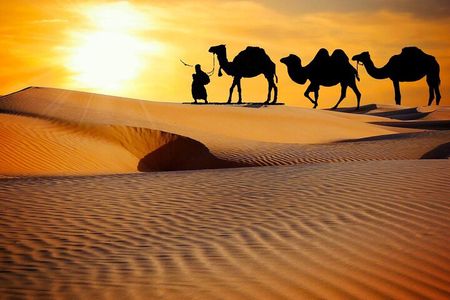 Abu Dhabi Evening Desert Safari Adventure