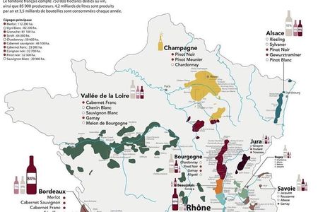 New Paris Wine Tasting Experience!