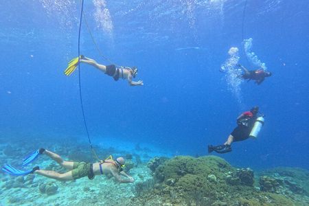 SNUBA Adventure in Curacao - Guided Shallow Dive