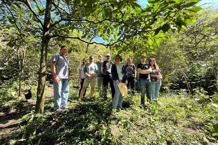 Organic Coffee Farm Tour