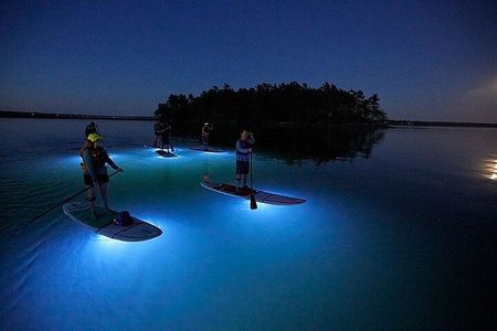 Paddle Out at Dusk for Glow Night Cruise in Gordon Bay