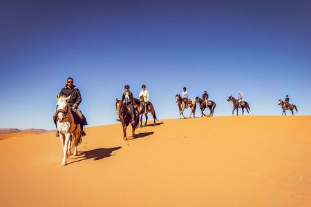 Whispers of the Dunes: A Doha Horse Riding Experience