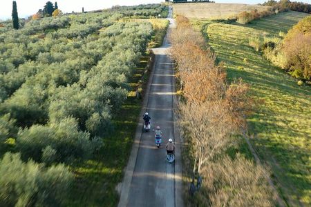 Half Day Vespa Countryside Tour and Tastings in Istria
