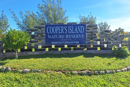 Sightseeing Shopping and Beach Tour